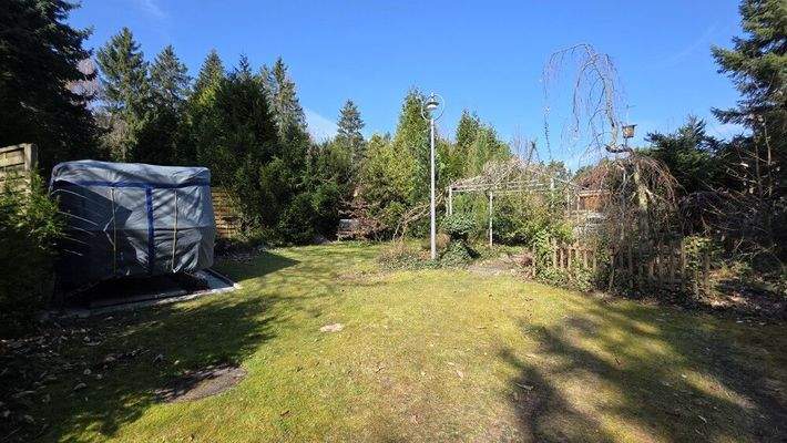 vorderer Bereich des Grundstücks