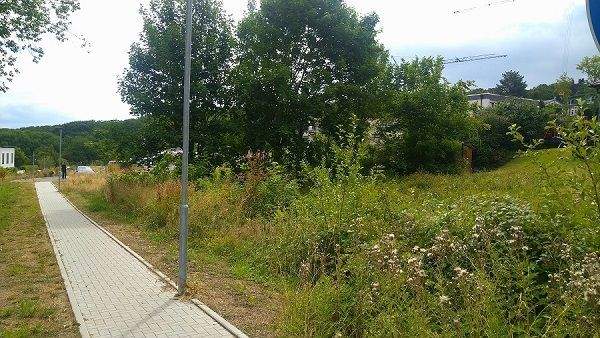 Bauplatz Königstein A.jpg