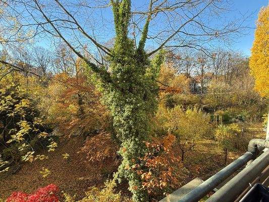 Blick vom Balkon im Herbst