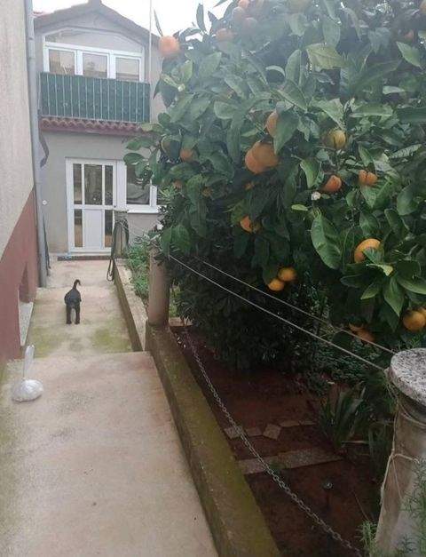 Pula Häuser, Pula Haus kaufen