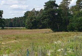 Blickrichtung Süd Westen