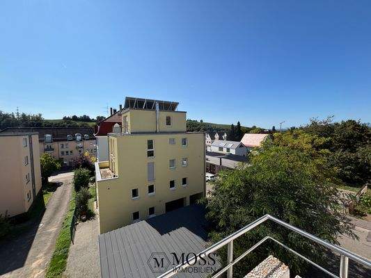 Blick vom Balkon in die Weinberge 
