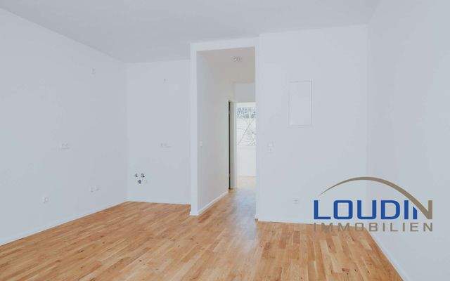 Wohnzimmer mit offener Küche