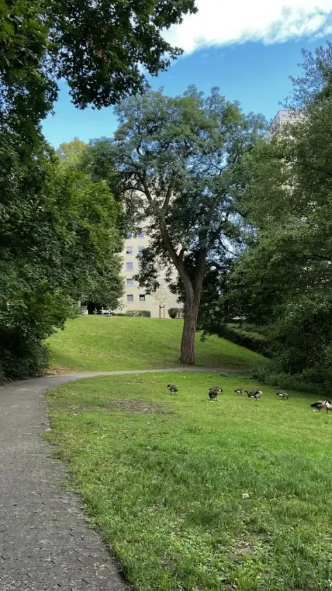 Fürth Wohnungen, Fürth Wohnung mieten