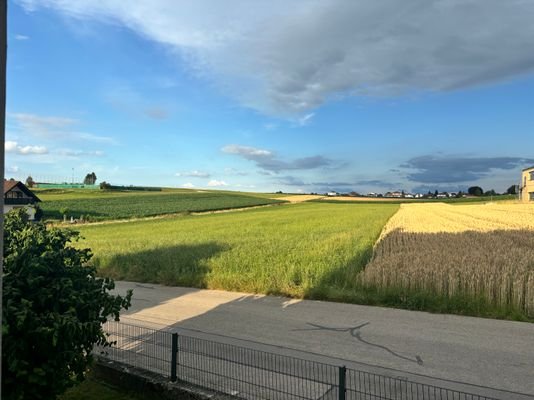 IMG_6060.jpeg