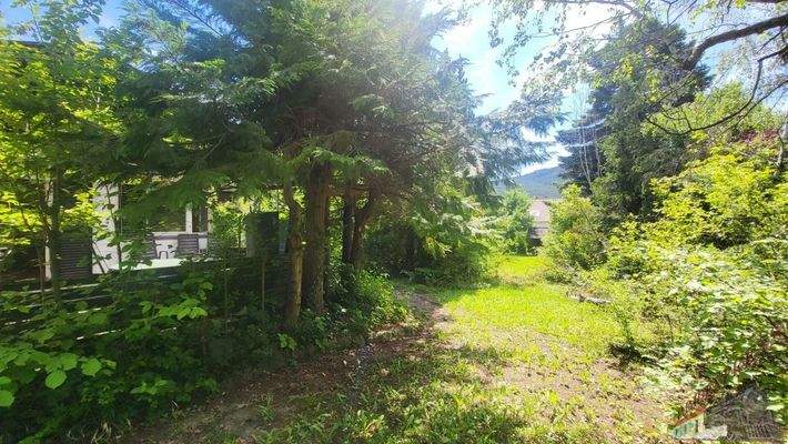 20240530_105440_resized