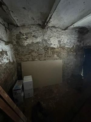 3 Keller und Hof (2)