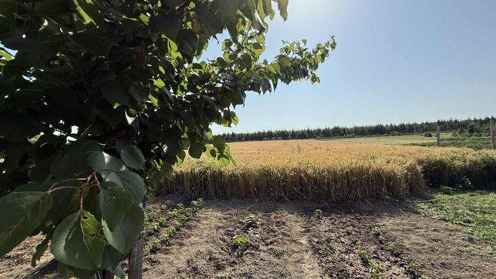 att.m4U51-sjiYm8AMh47zsfX08D5rL-8Thl7c7eAxCFkfo.JP