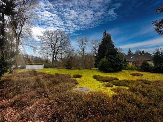 Heidelandschaft im eigenen Garten