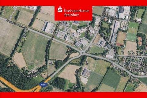 Ibbenbüren Halle, Ibbenbüren Hallenfläche