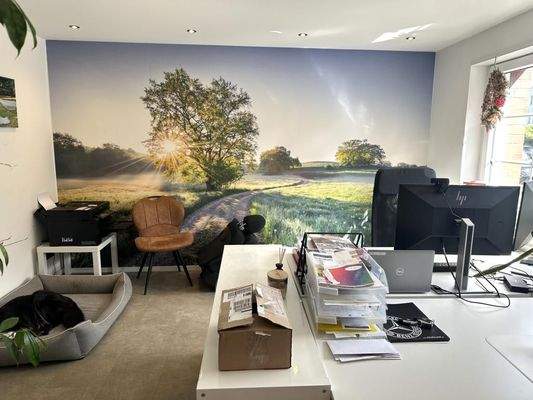 Weitere Ansicht Büri