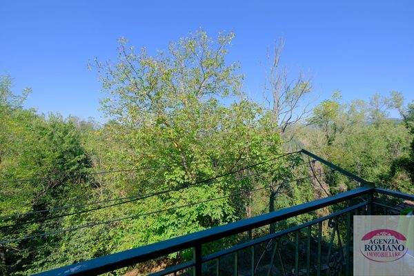 Rif 1377(Copy) (3).jpg