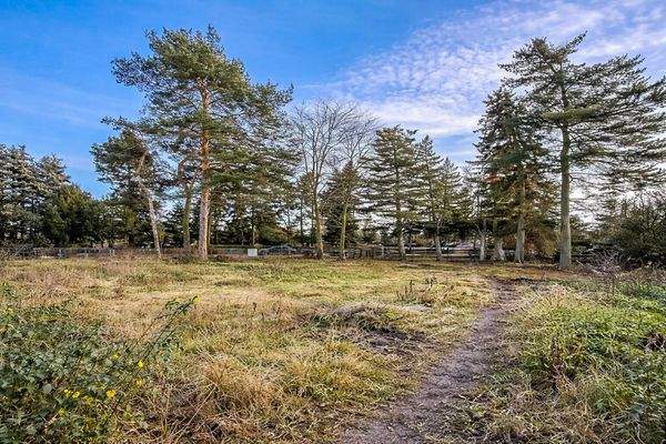 Blick auf die vordere Teilfläche