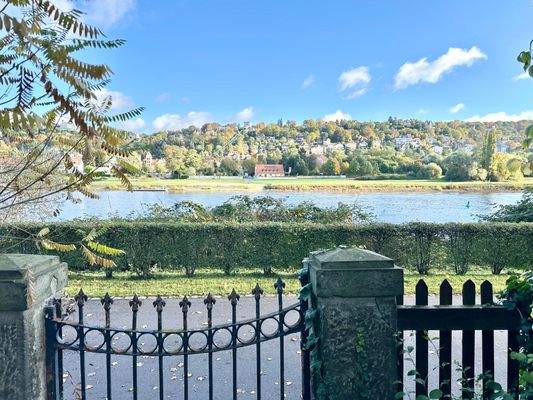 Blick vom Grundstück zur Elbe mit direktem Zugang zum Elberadweg