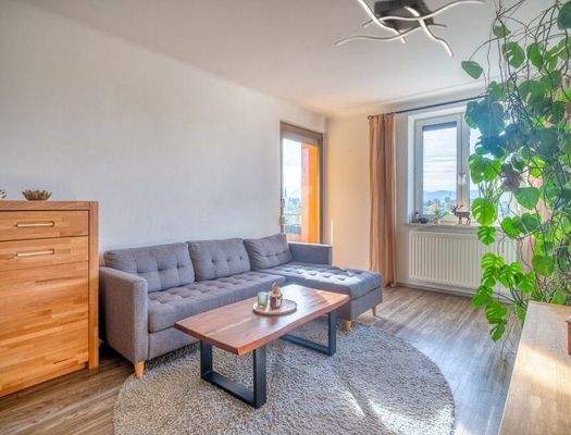 HP4-3-Zimmer-Wohnung-Maxglan-Wohnbereich