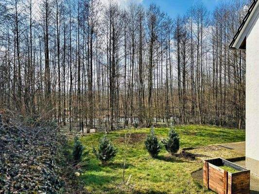 von viel Grün umgeben... der Blick über den Garten in Richtung Wald