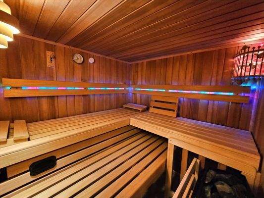hochwertige Sauna im Keller