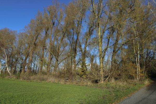 NieparsGrundstückvorne