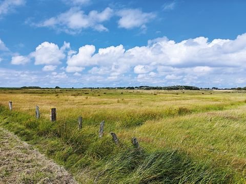 Sylt Bauernhöfe, Landwirtschaft, Sylt Forstwirtschaft