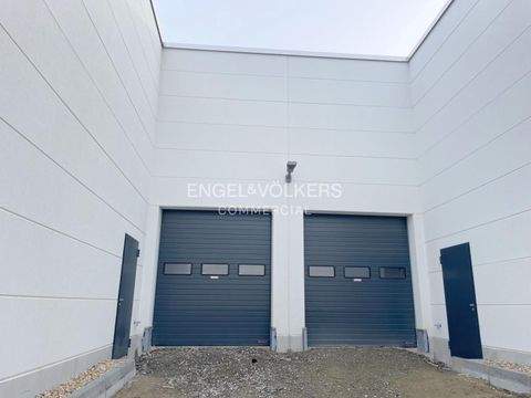 Berlin Halle, Berlin Hallenfläche