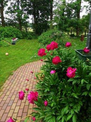 Blumenrabatten in der Frühlingszeit