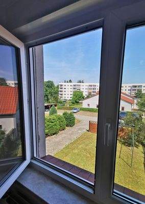 Blick aus dem Küchenfenster