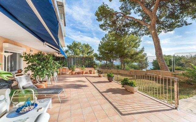 apartamento-palmanova-18