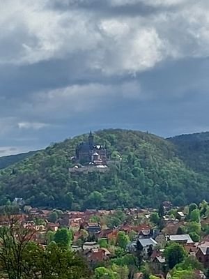 Ausblick aufs Schloss