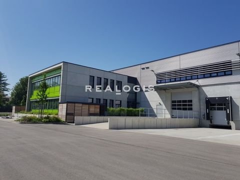Langenselbold Halle, Langenselbold Hallenfläche