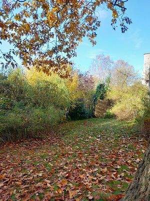 Rückwärtiges Grundstück