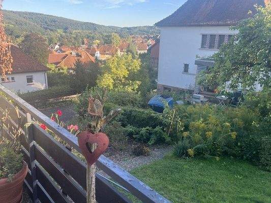 Blick vom Balkon II