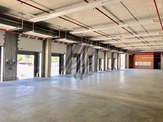 INFOS UNTER: 06171-586000