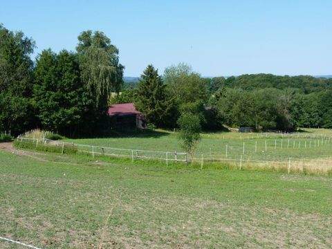 Glashütten Bauernhöfe, Landwirtschaft, Glashütten Forstwirtschaft
