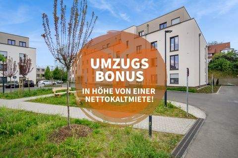 Dresden Wohnungen, Dresden Wohnung mieten