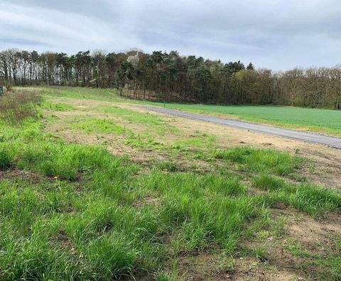 Haltern am See Grundstücke, Haltern am See Grundstück kaufen