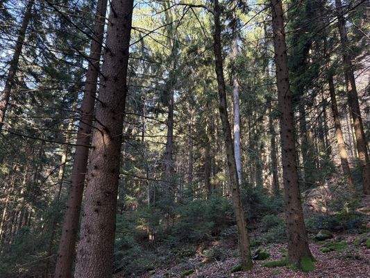 2025-11-05 10.20.47.jpg