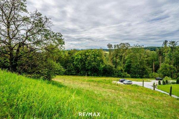 Natur pur, Ansicht Süden