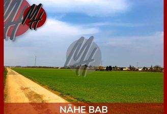 INFOS UNTER: 06171-586000