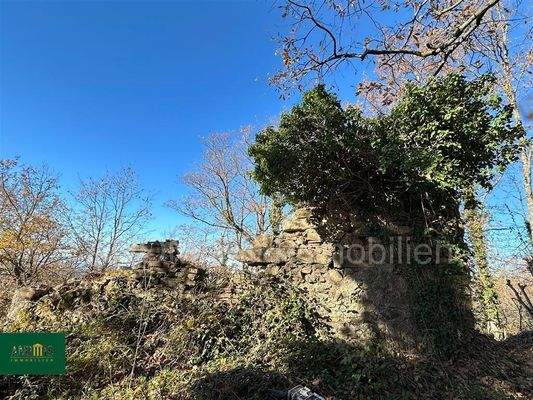 Baugrundstück mit Ruine