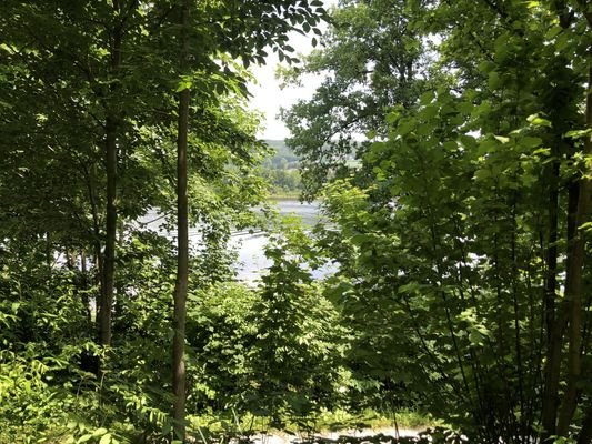 Blick vom Grundstück auf den See