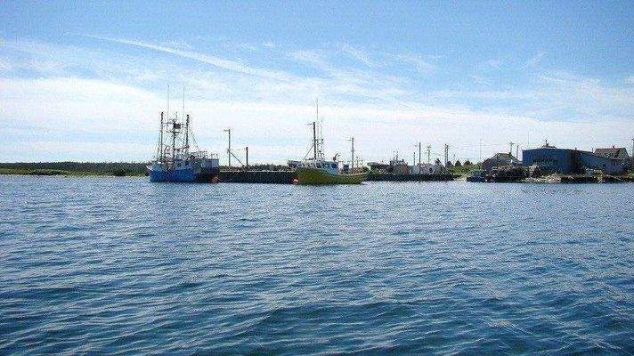 Fischerhafen Umgebung