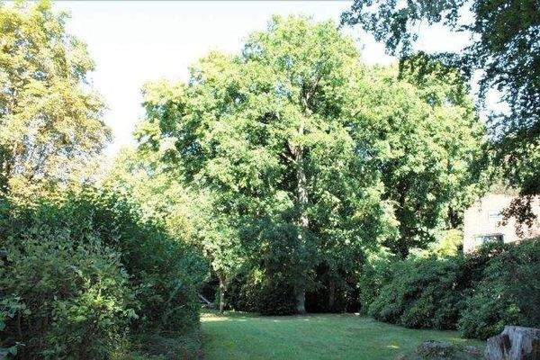 Impressionen aus der Parkanlage