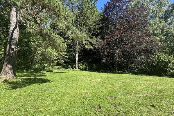 Garten hinter dem Haus Richtung Wald