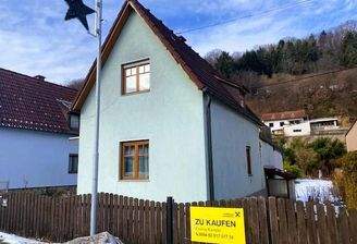 Hausfront und Einfahrt Straßenansicht