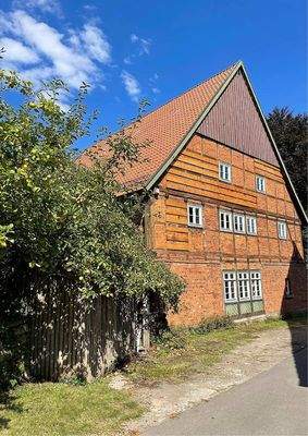 Seitenansicht Sommer