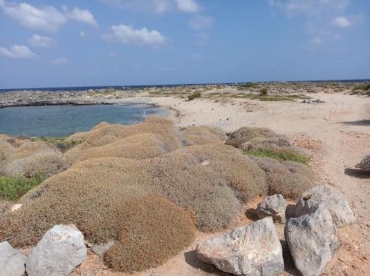 Ein wirklich erstaunliches Grundstück am Meer in S