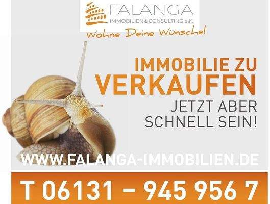 1_Schnecke