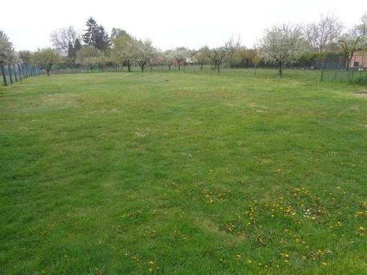 breites schönes Grundstück eingezäunt