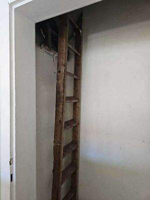 letöltés (32) (1)(1).jpg