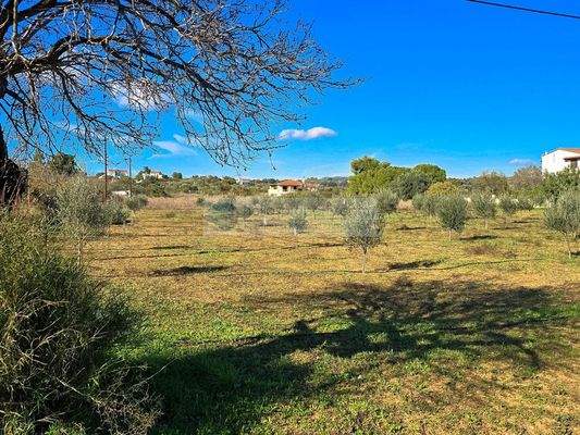 2e0102ca4e354e4fb9e4ac5bdf796339-original